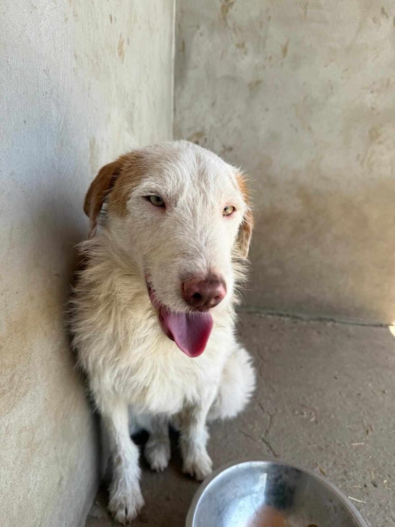 491278821_1198725731701390_9222689266979092385_n