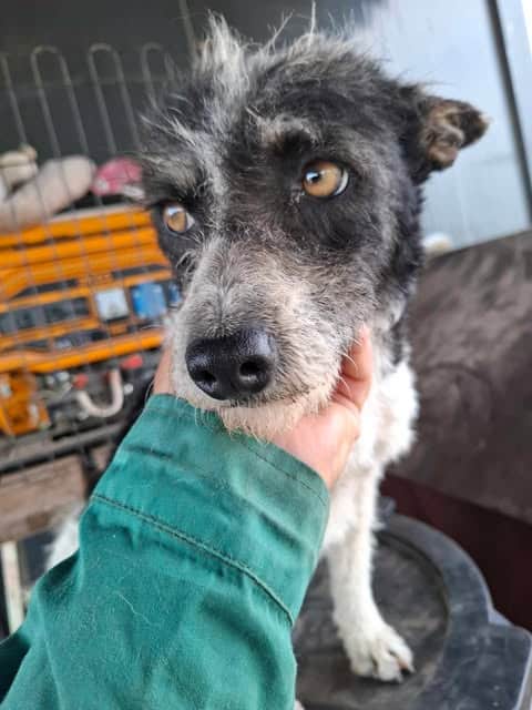 494575865_714551094416687_6697535684440510390_n