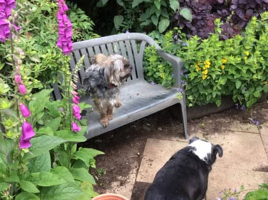 494819412_715059621009754_8181550084782117715_n