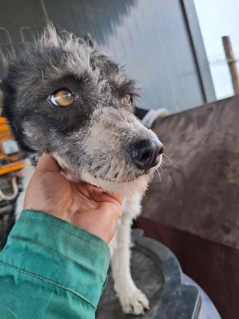 495047056_1386997595824225_8989470636310502816_n