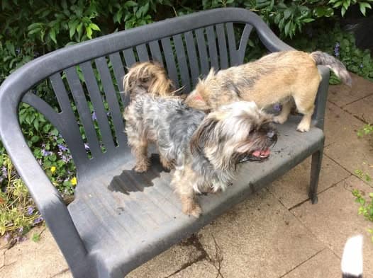 495267314_1289776502566862_3657230758047203270_n