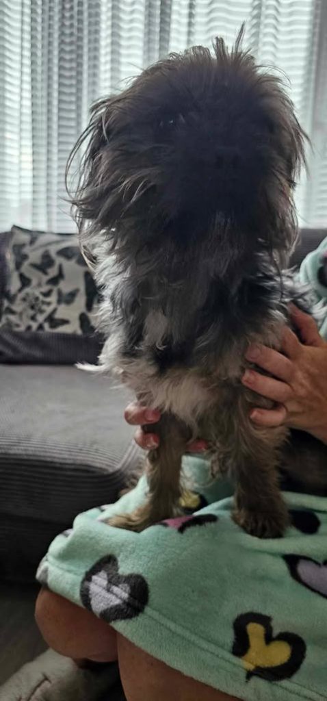 504149569_9970636099648923_7422425791973131019_n