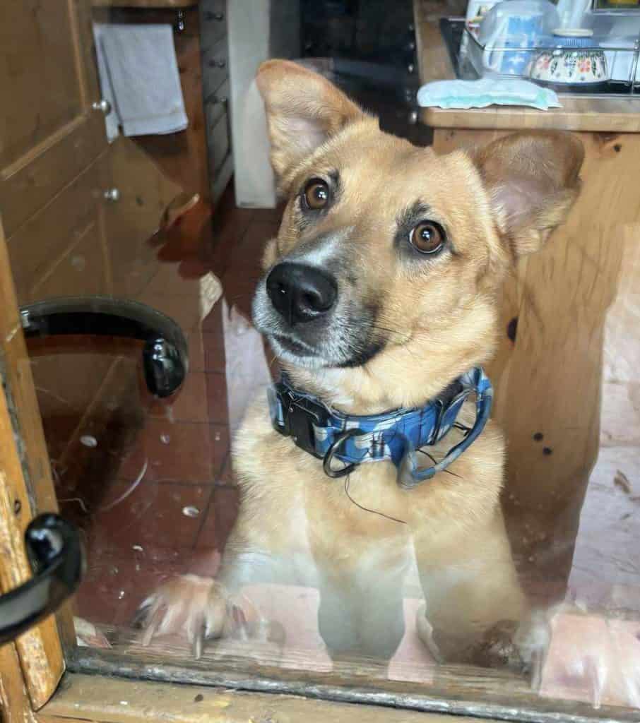 inbound2562240838745721032