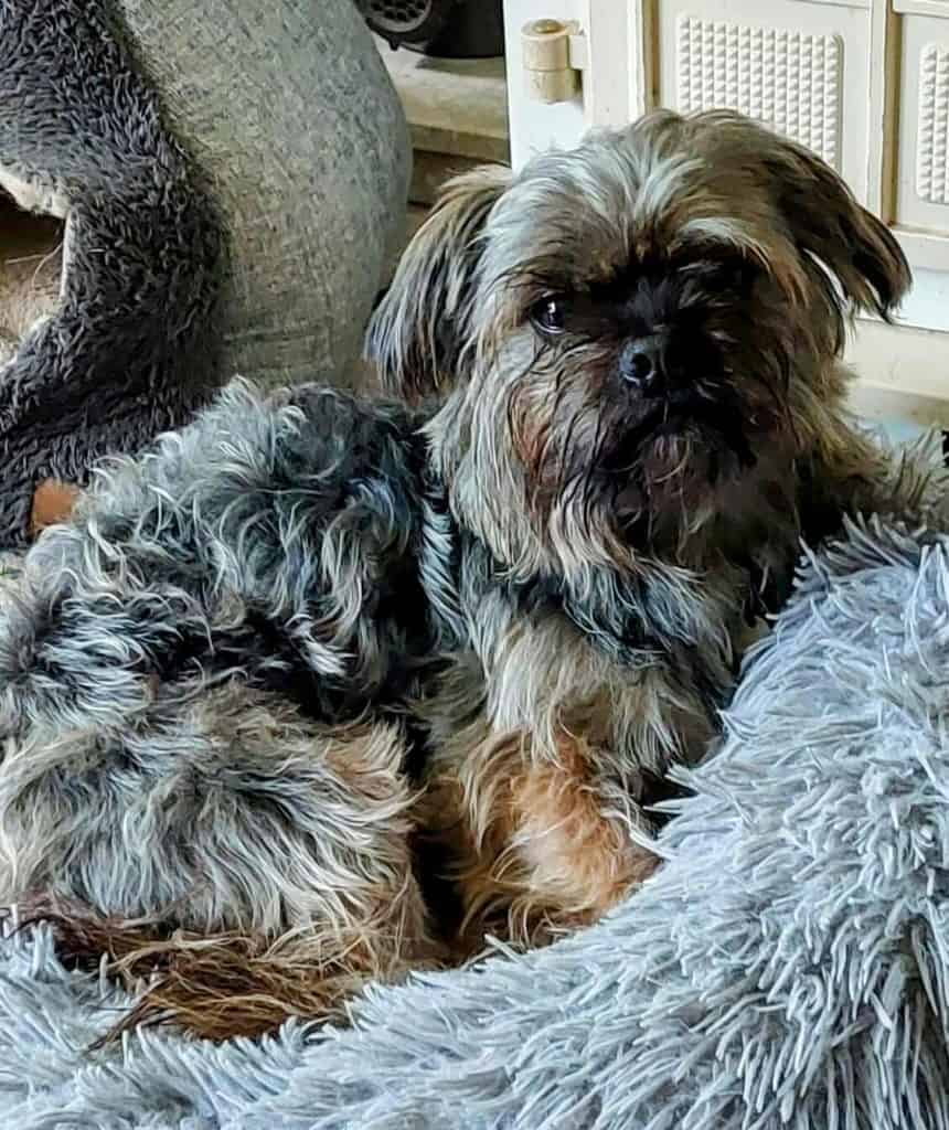 inbound380239179300378284