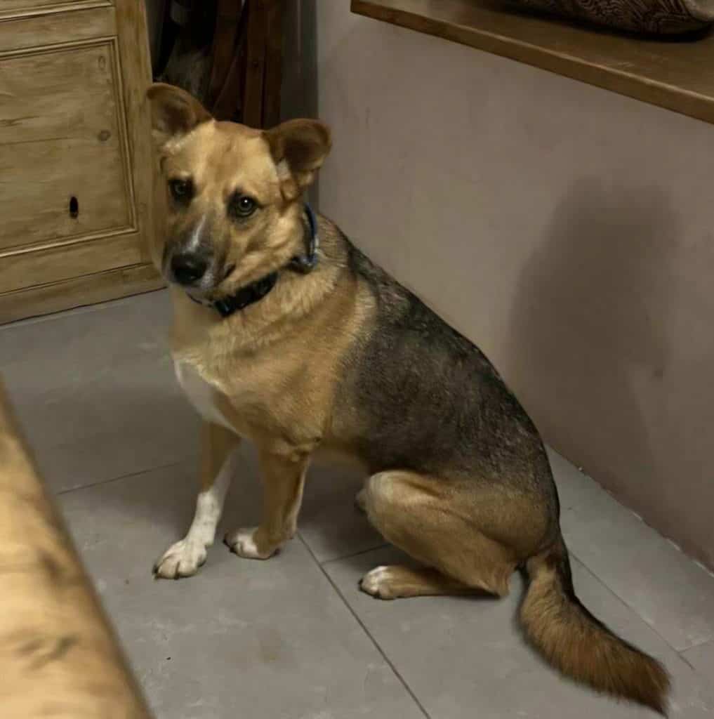 inbound5645764865191446935