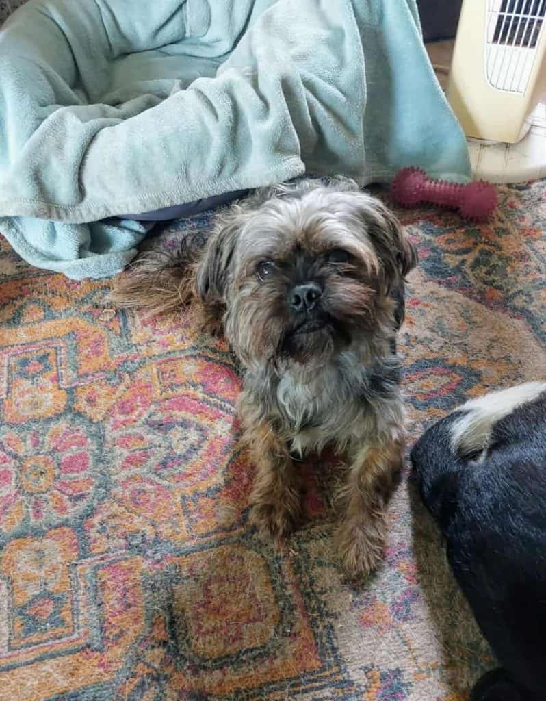 inbound6654560463642493588