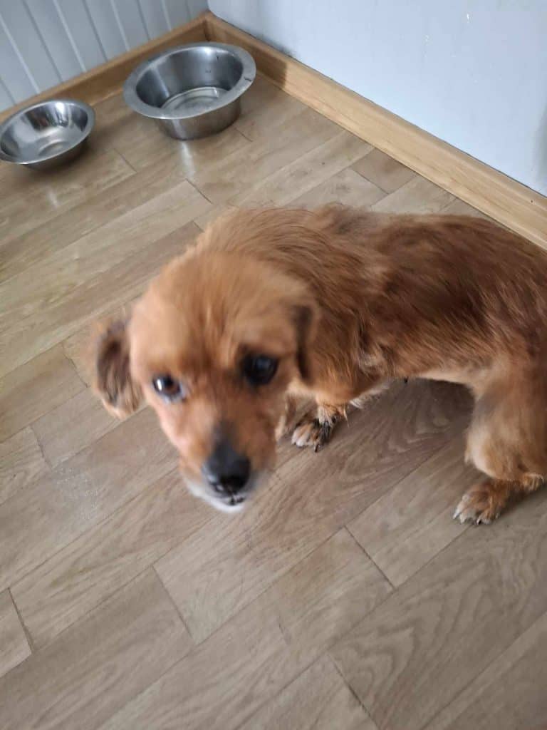 received_1222720005929282 (1)