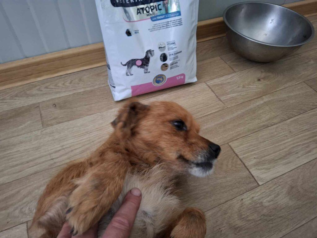 received_1506667746973809 (1)