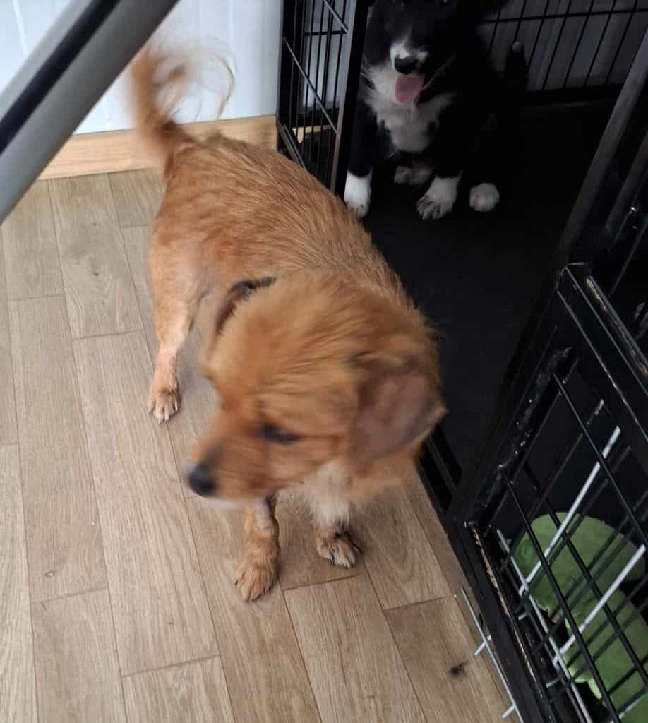 received_682264401260980