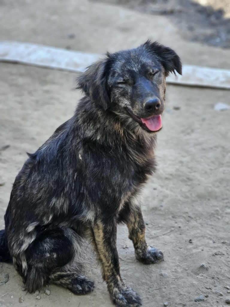 Messenger_creation_686954297653221