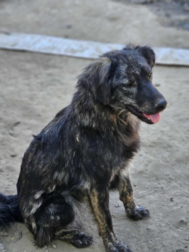 Messenger_creation_719960214014800