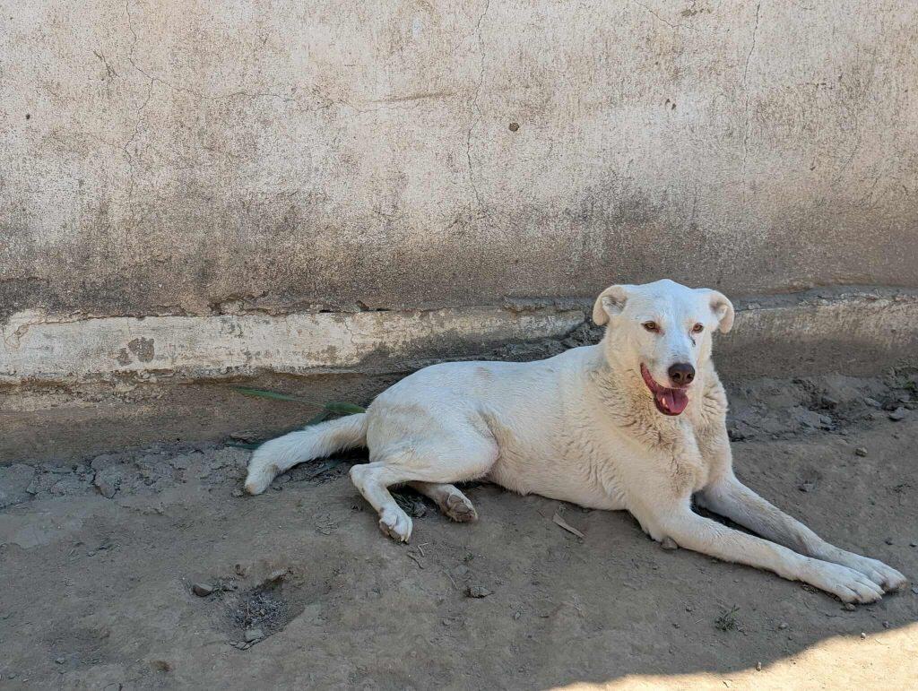 received_1132854378652002