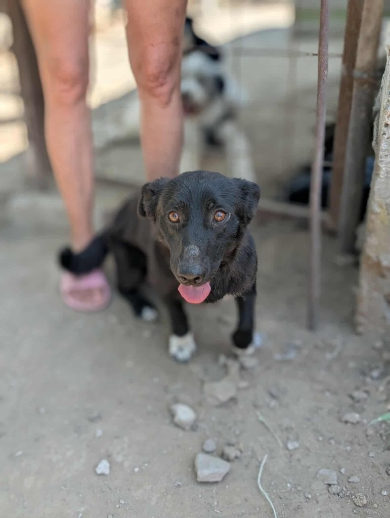 received_1407571547114306