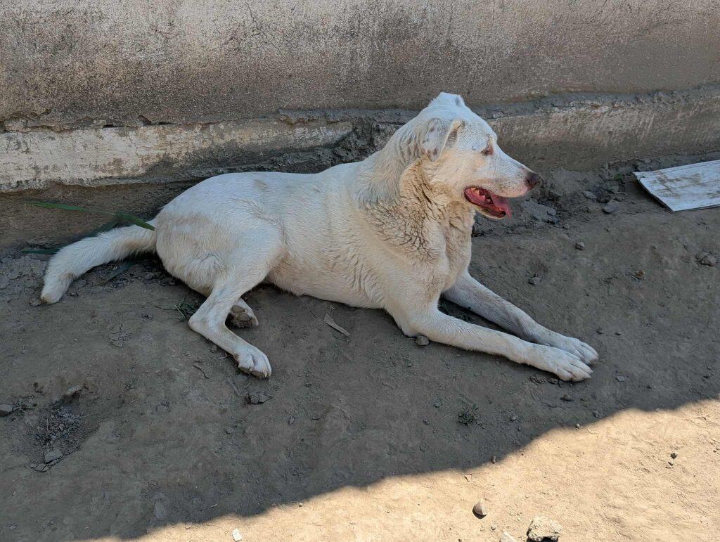 received_2224729921315643