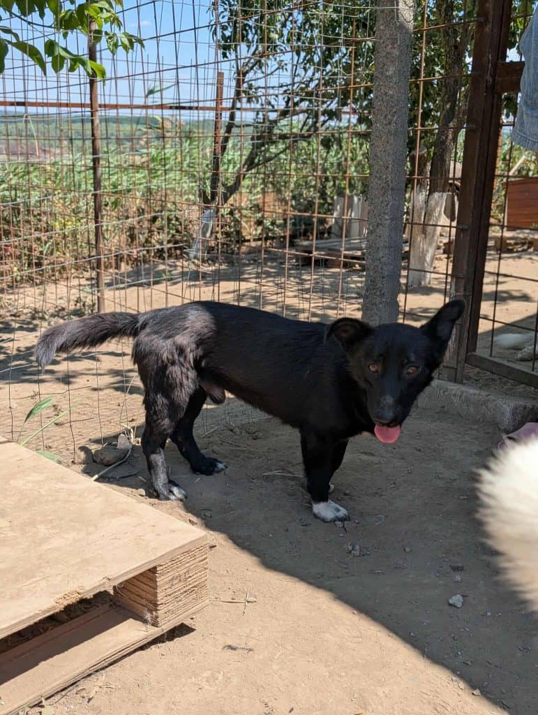 received_654605130936542