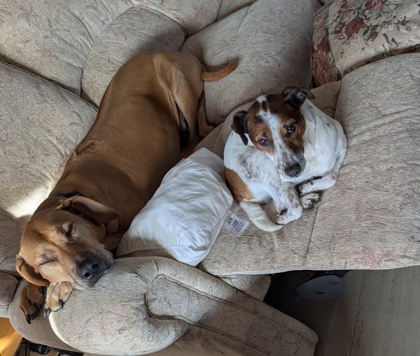 537026318_122249078498066485_4893743680839588638_n