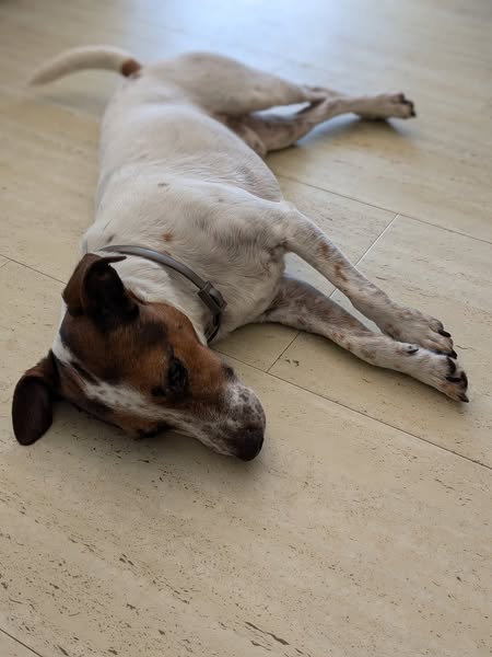 538241937_122249078486066485_6979609189011940954_n