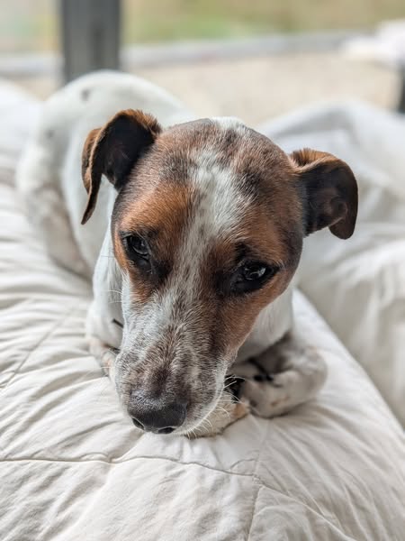 538552717_122249078402066485_2174802592958246419_n