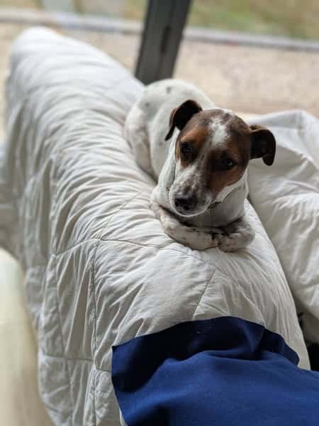 539226924_122249078438066485_2154306072712993839_n