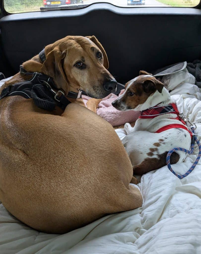 539665633_10163831912006979_5419948396023909399_n