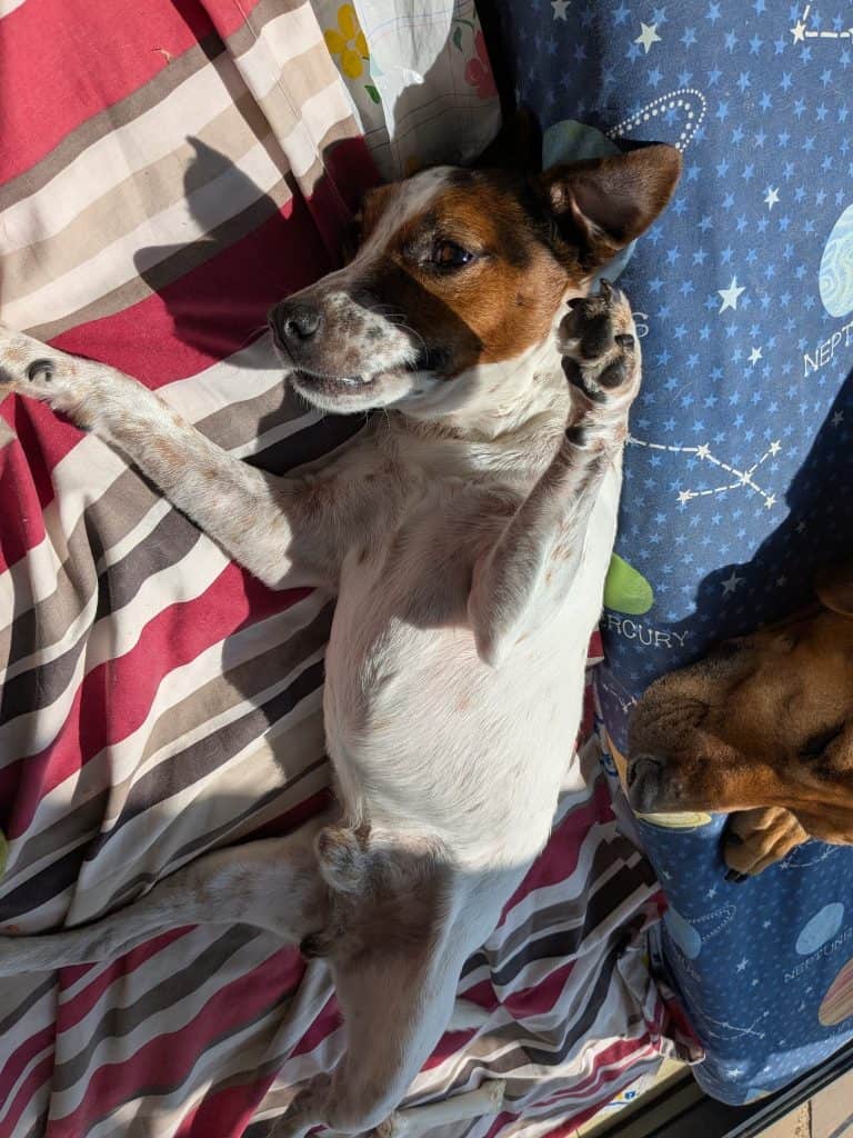 539937752_10163831927371979_4662226588018172999_n