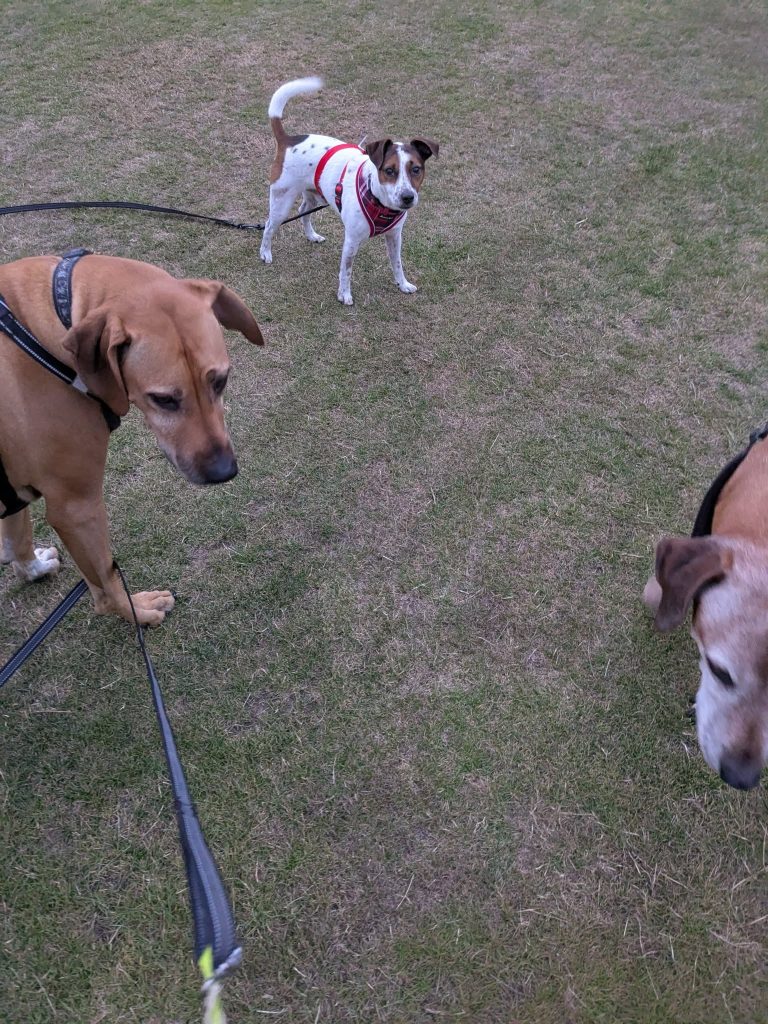 540047150_10163831912731979_1842870480536269043_n