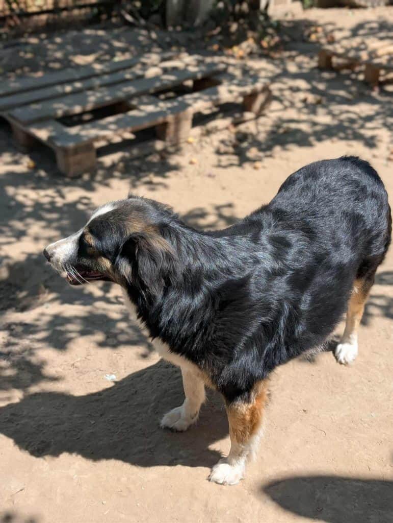 Messenger_creation_758382726850149