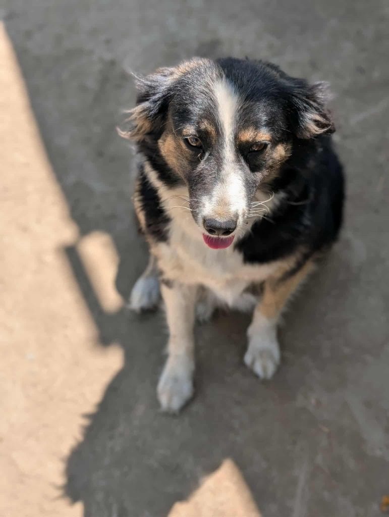 received_687681790920493