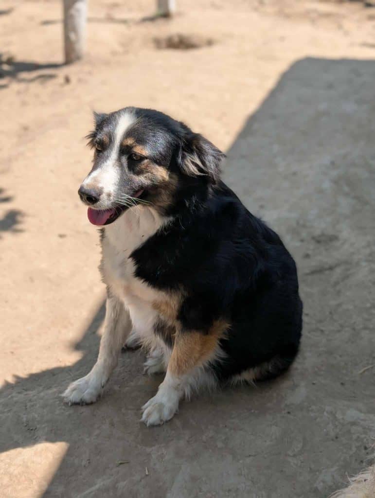 received_726429966704594