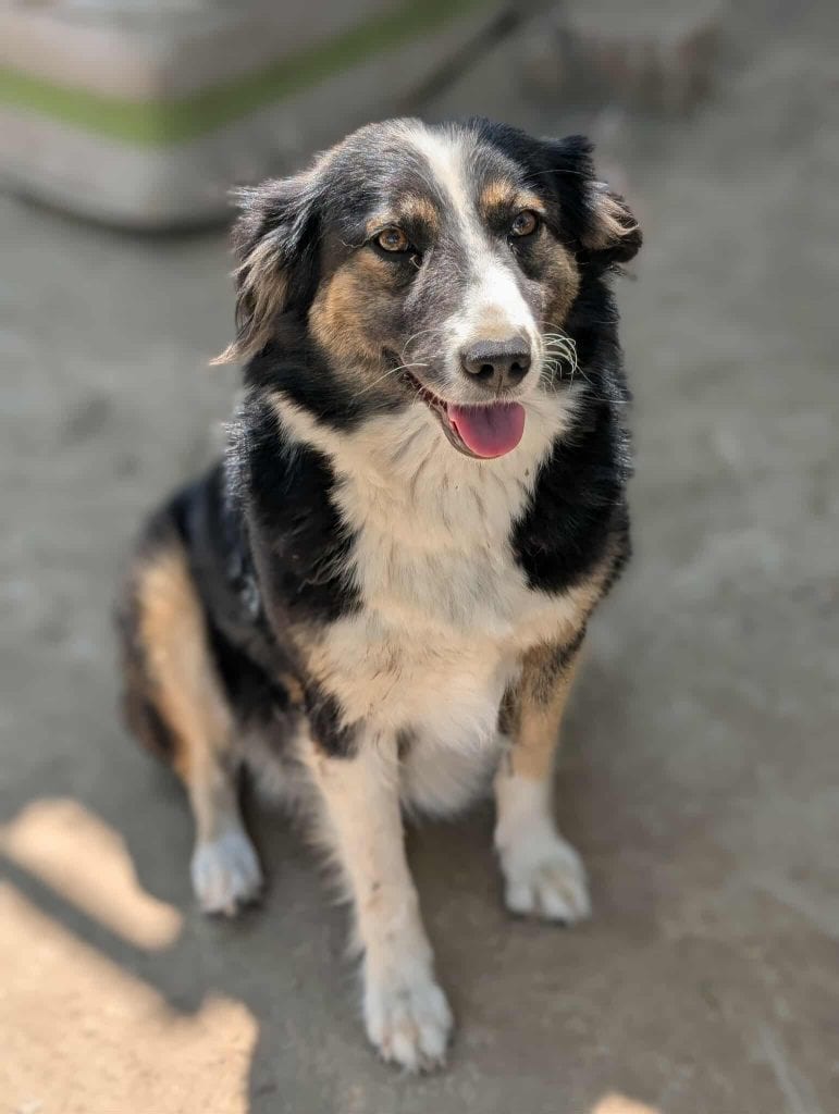 received_814025107862180