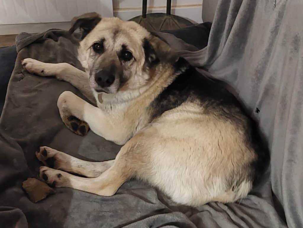 inbound2371630073878909913