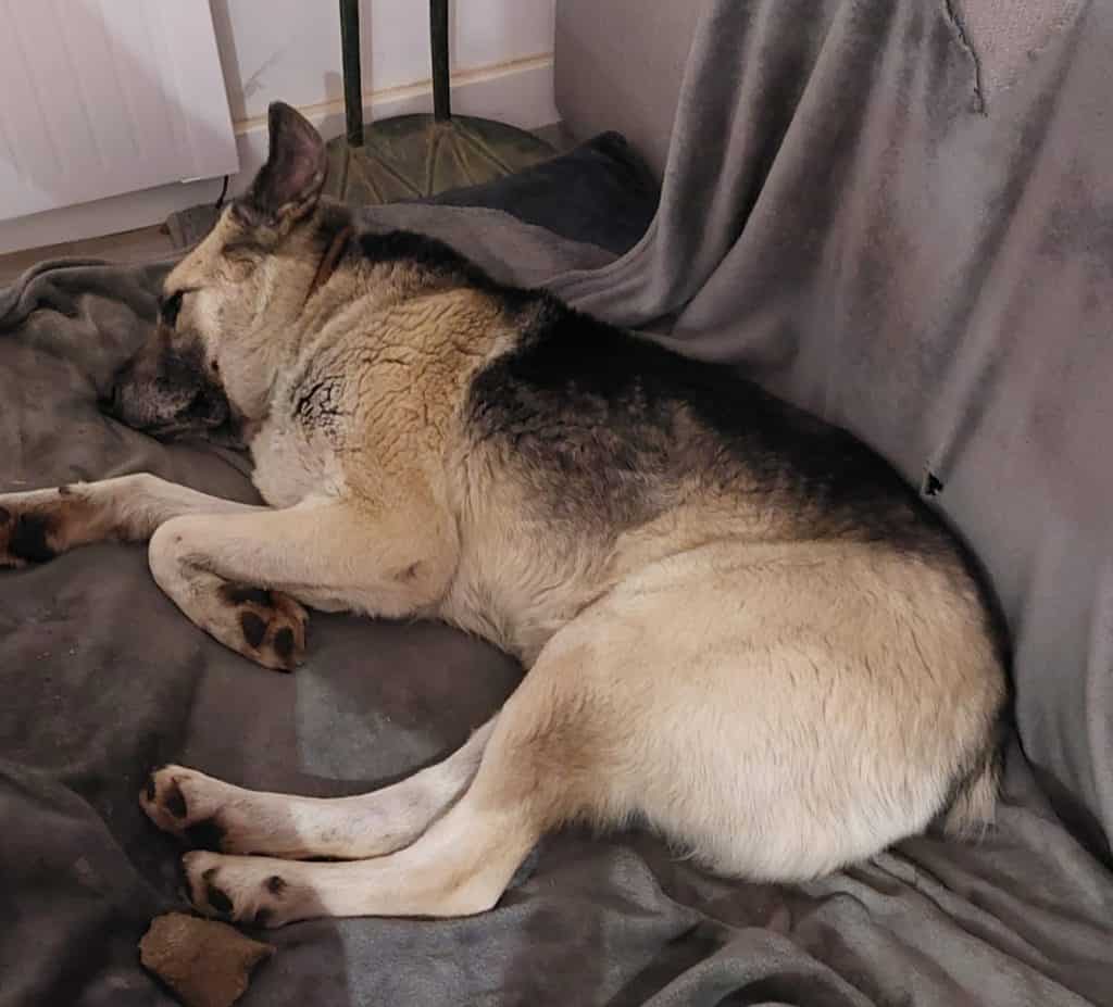 inbound616421122415450421