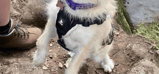 LUNA – East England LUNA – East England