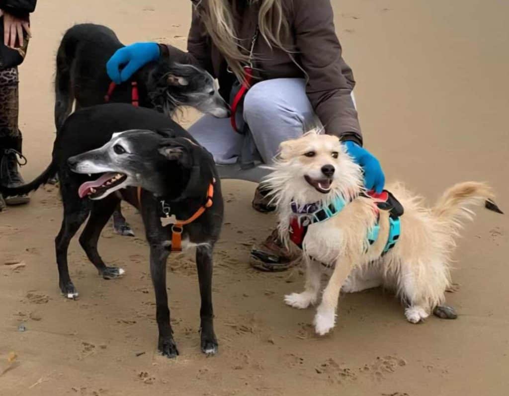 Messenger_creation_25841799848738083