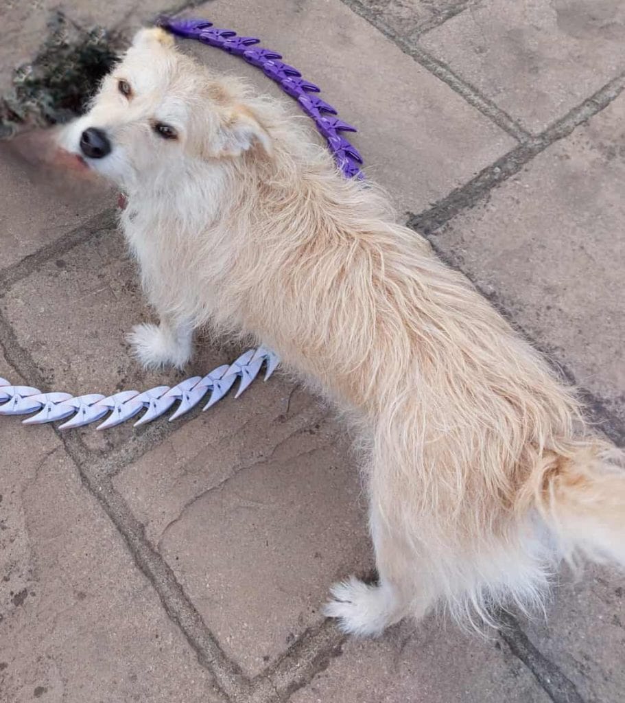 Messenger_creation_4446693135611281 (1)