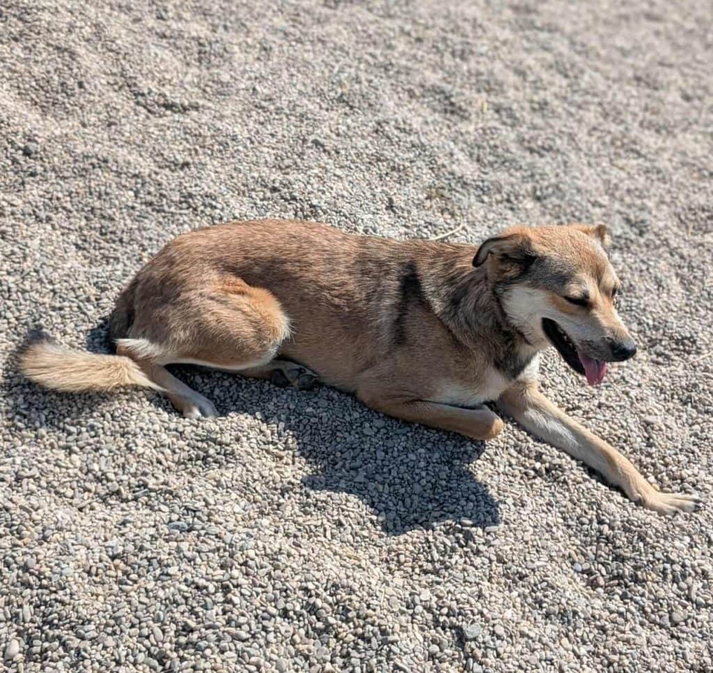 received_10831357706043183