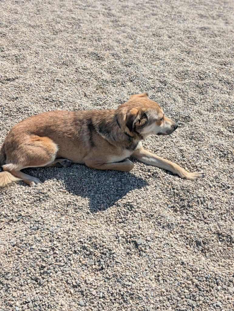 received_691532167031442