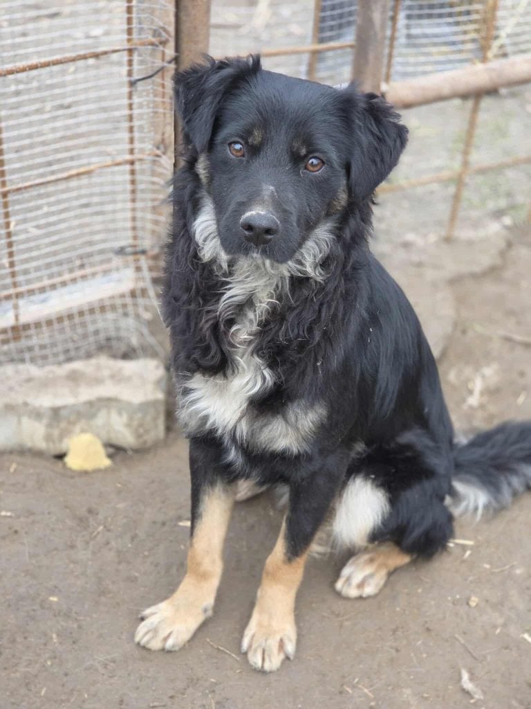 Messenger_creation_1724369995186834