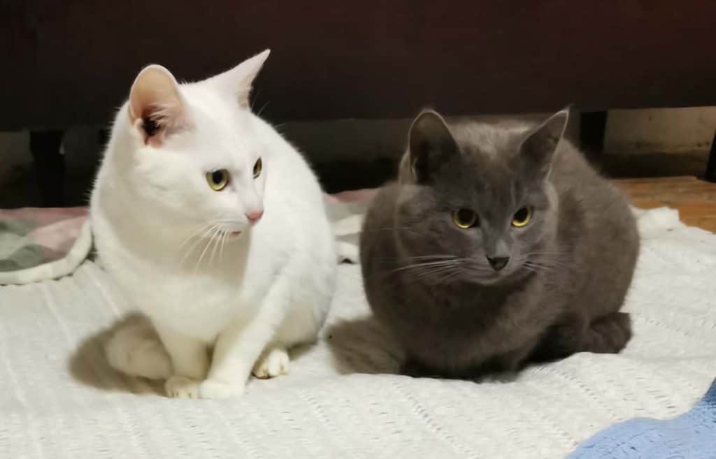 received_1988183245439637