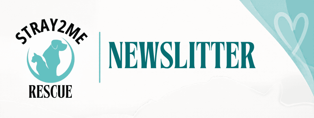 The current image has no alternative text. The file name is: Newsletter-Banner-1-1.png